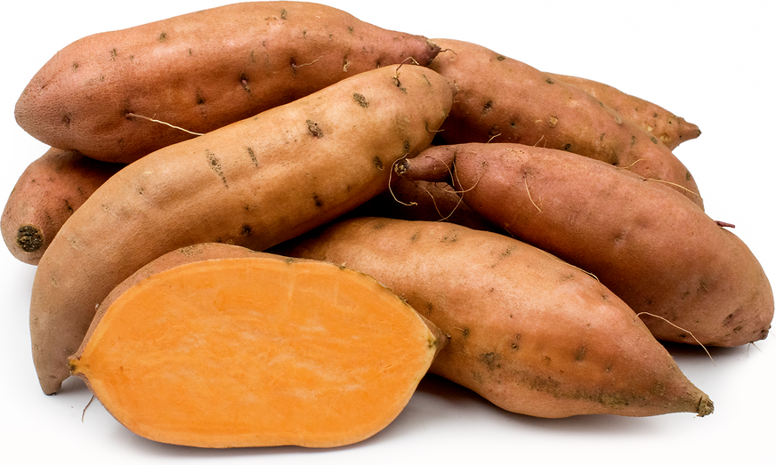 jewel-yams-information-recipes-and-facts