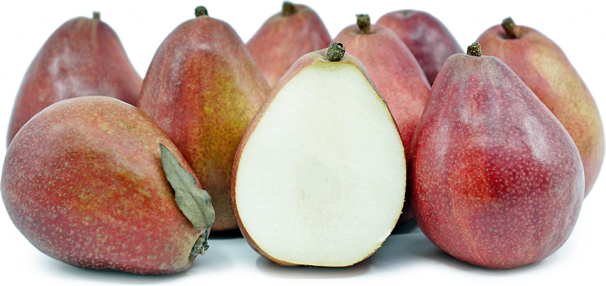 Comice Pears, One of the Finest European Pear Varieties - MyExoticFruit -  The UK's leading Exotic Fruit Retailer - Est. 2014