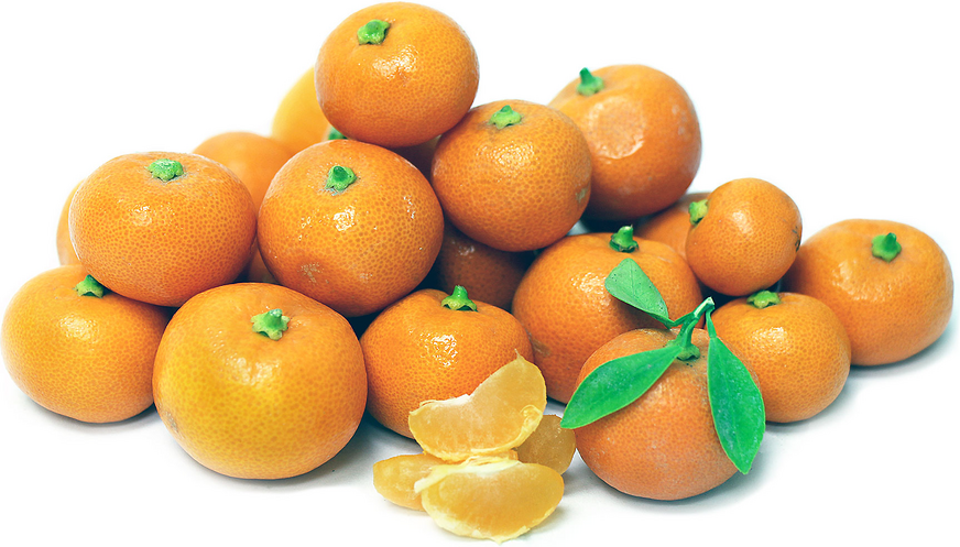 Calamondin Oranges Information and Facts