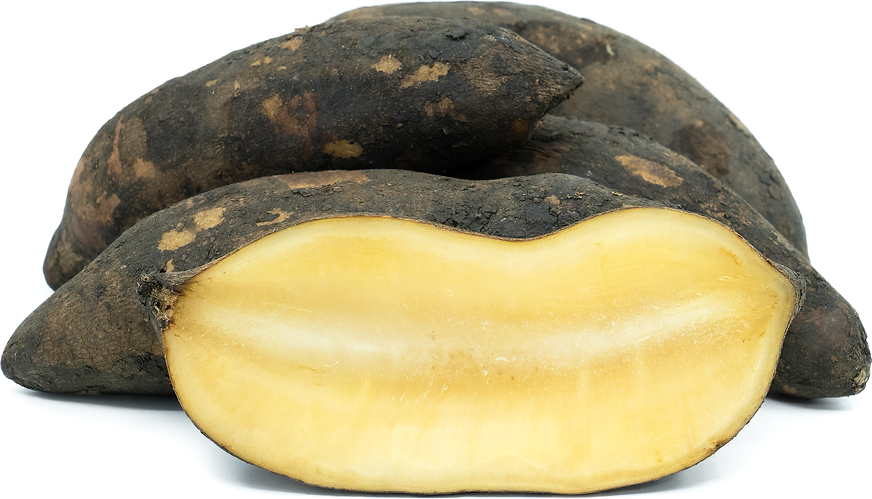 Yacon, wonder tuber from the Andes - almost no calories and does