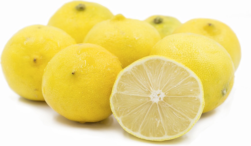 Sweet Lemons Information and Facts