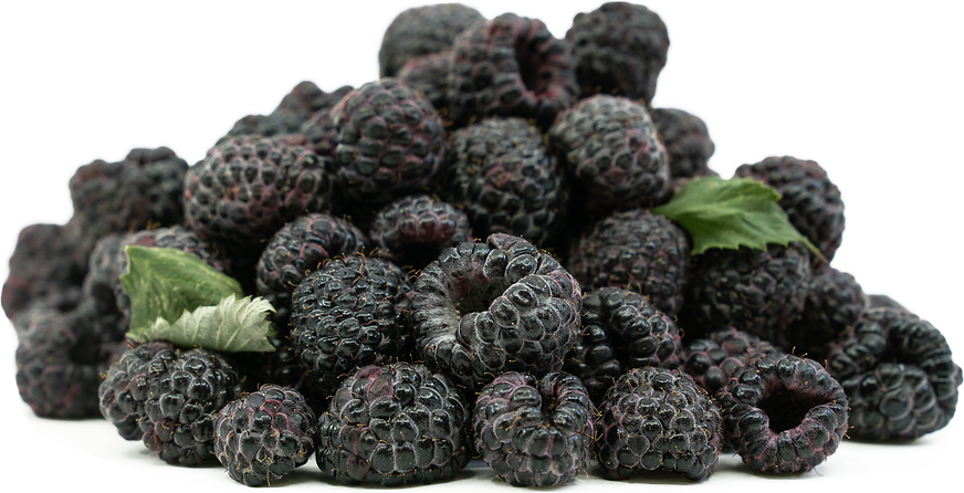 Black Raspberries Information and Facts