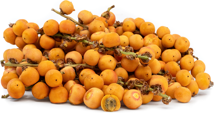 red spiky fruit with orange center