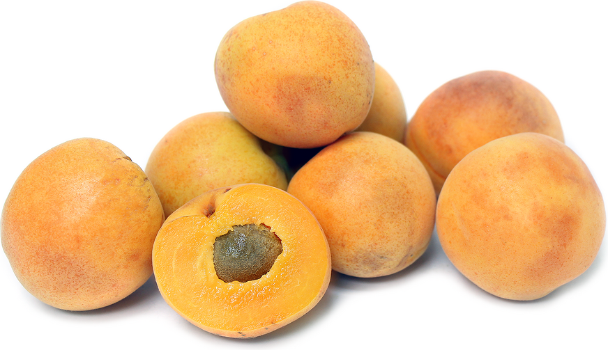 Moorpark Apricots Information Recipes And Facts