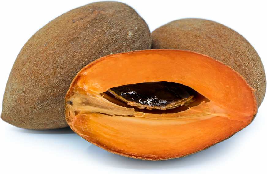 Mamey Sapote Information and Facts
