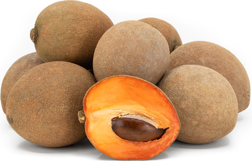 Mamey Sapote Information and Facts