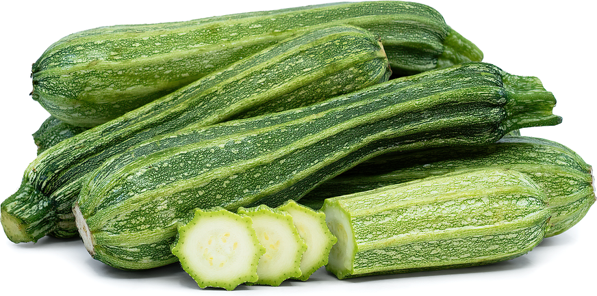 ARCHAEOLOGY OF FRUITS & VEGETABLES - Zucchini (Courgette) - Chef's