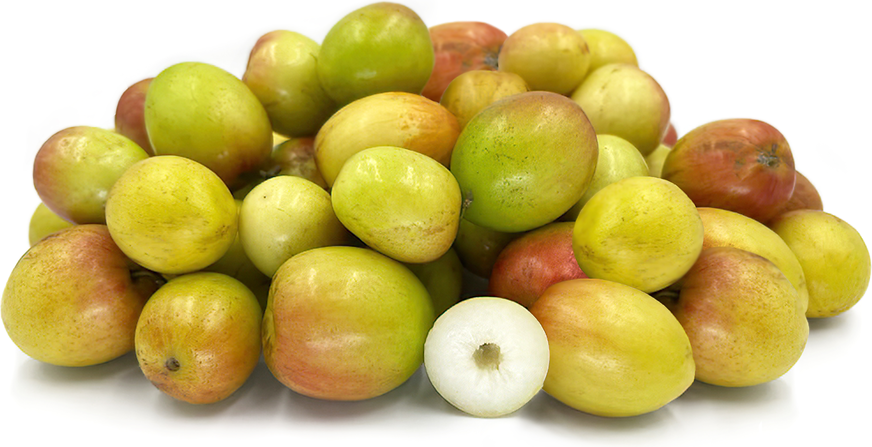 Ber Indian Jujube Information And Facts