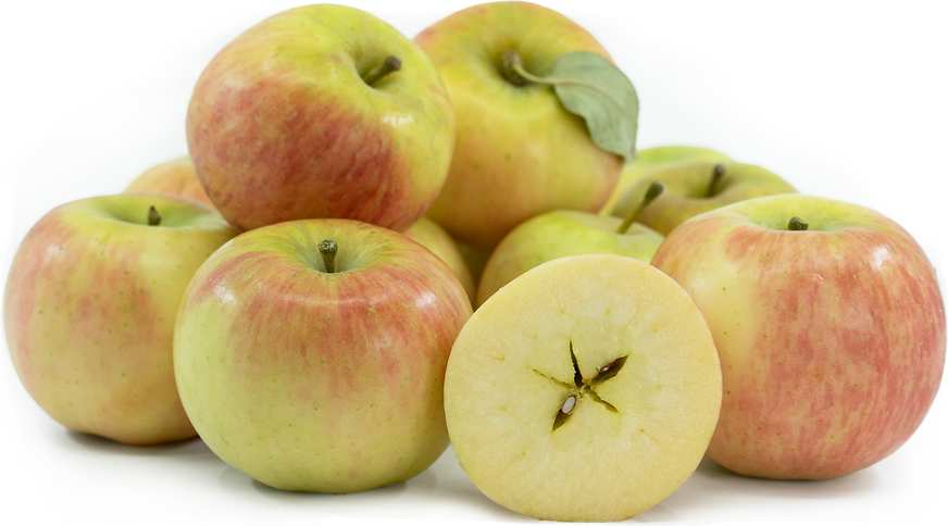 Early Fuji Apples Information and Facts