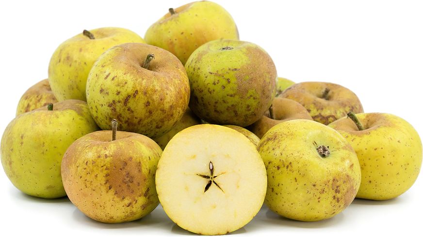 Golden Russet Apples Information and Facts