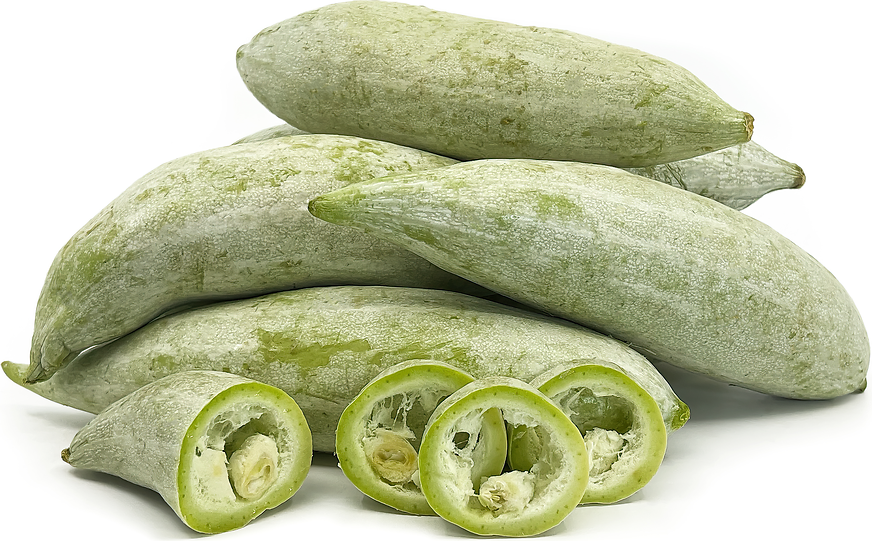 snake-gourd-health-benefits-nutrition-and-recipes