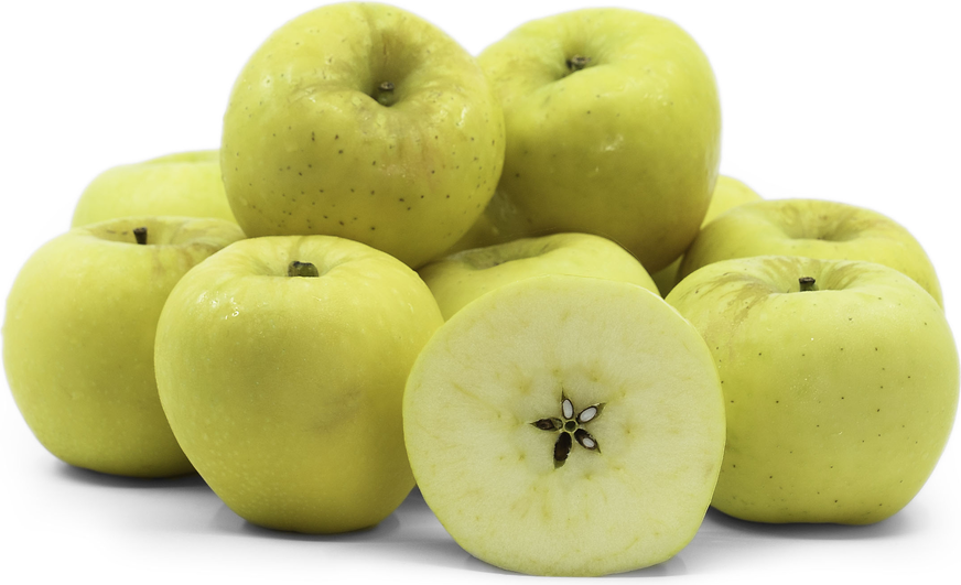 Organic Gala Apples Information and Facts
