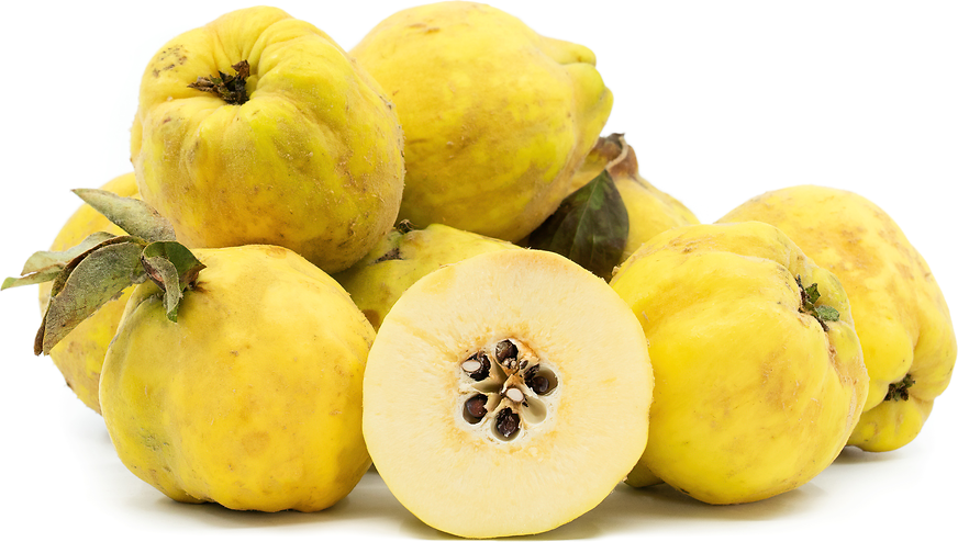 Aromatnaya Quince Information and Facts