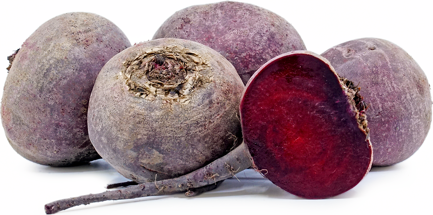Red Beets Information and Facts