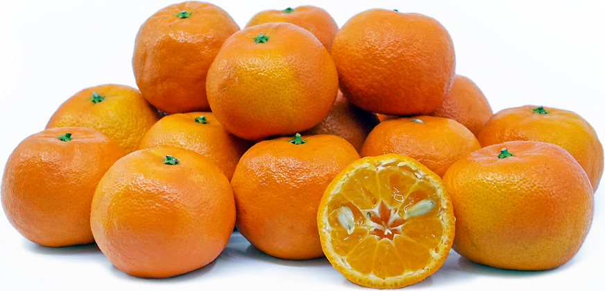 Algerian Tangerines Information and Facts