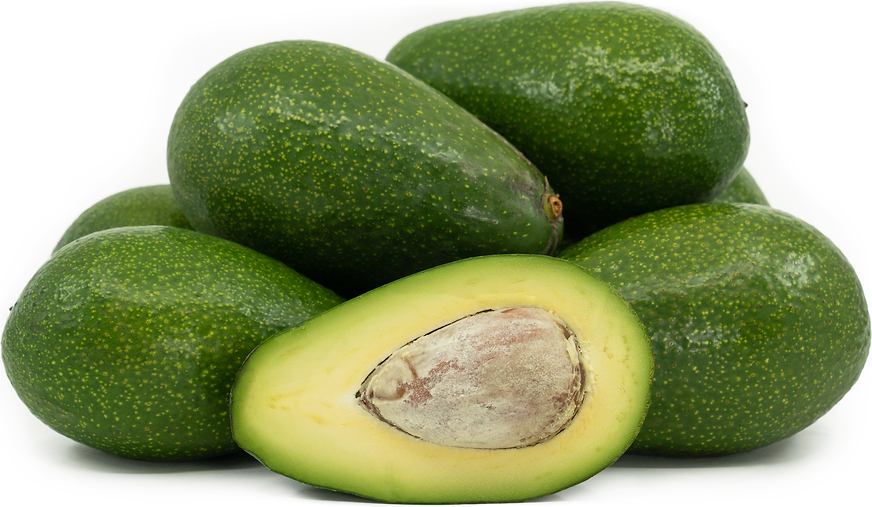 Ettinger Avocados Information and Facts