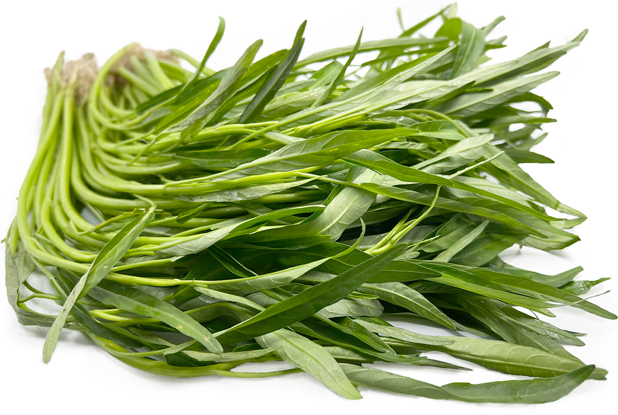 Kangkong Leaves Information and Facts