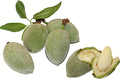 Green Almonds picture