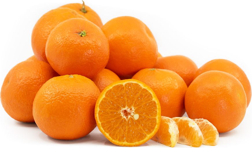 Daisy Tangerines Information and Facts