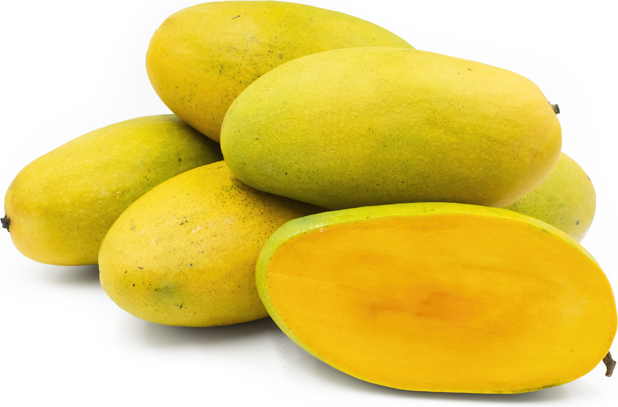 Mango Varieties - Types of Mangoes