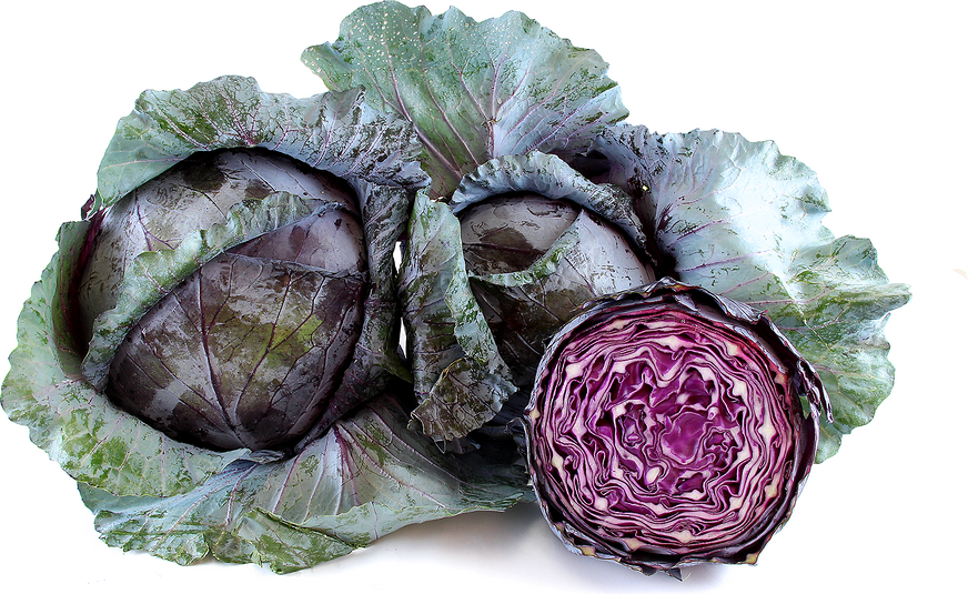 Red Cabbage Information Recipes And Facts