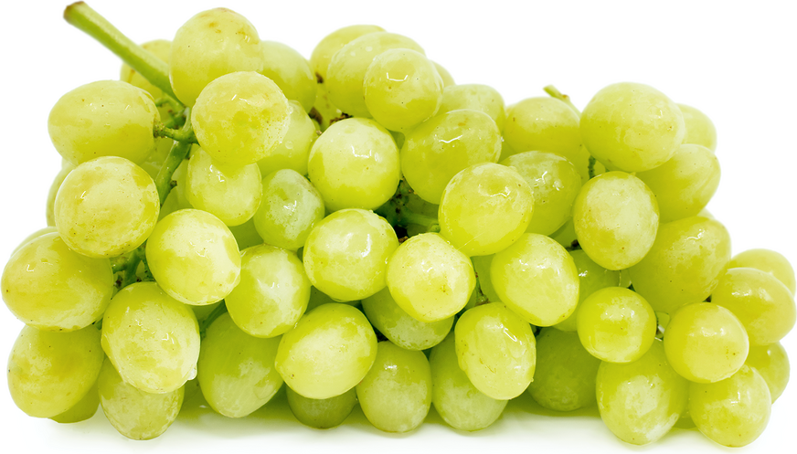 Green Seedless Grapes Information and Facts