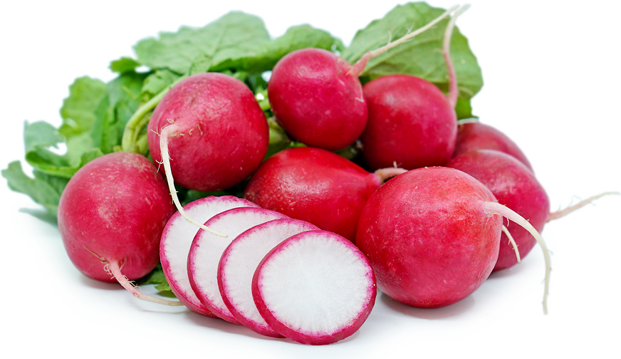 Red Radish Information and Facts