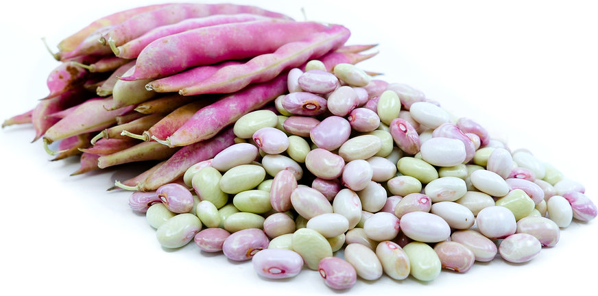 Flor de Mayo Shelling Beans Information and Facts