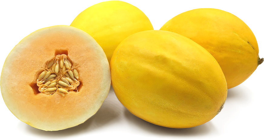 Yellow Muskmelon Information and Facts