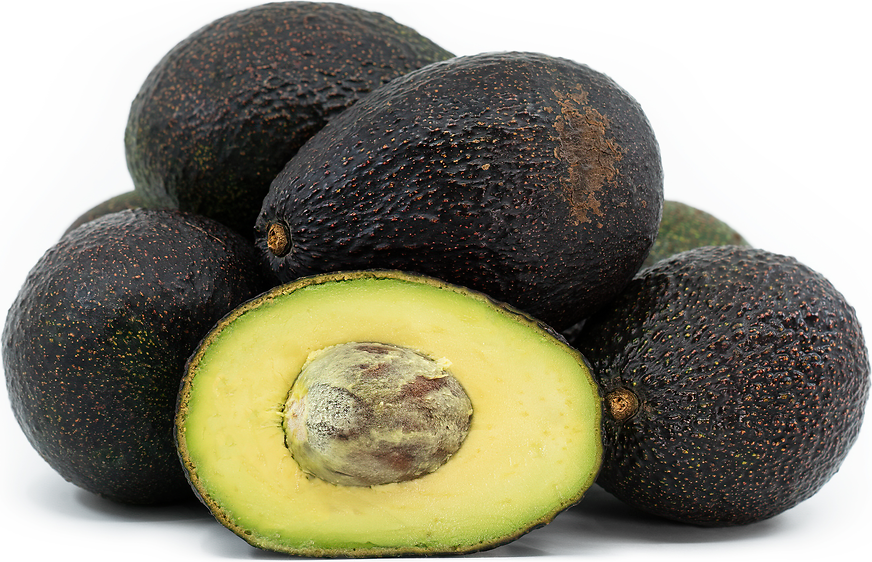 GEM® Avocados Information and Facts