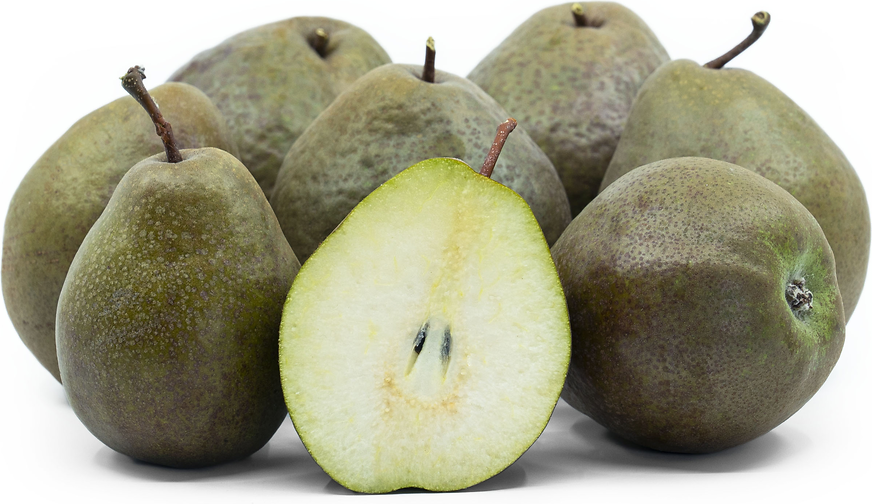 Black Worcester Pears Information and Facts