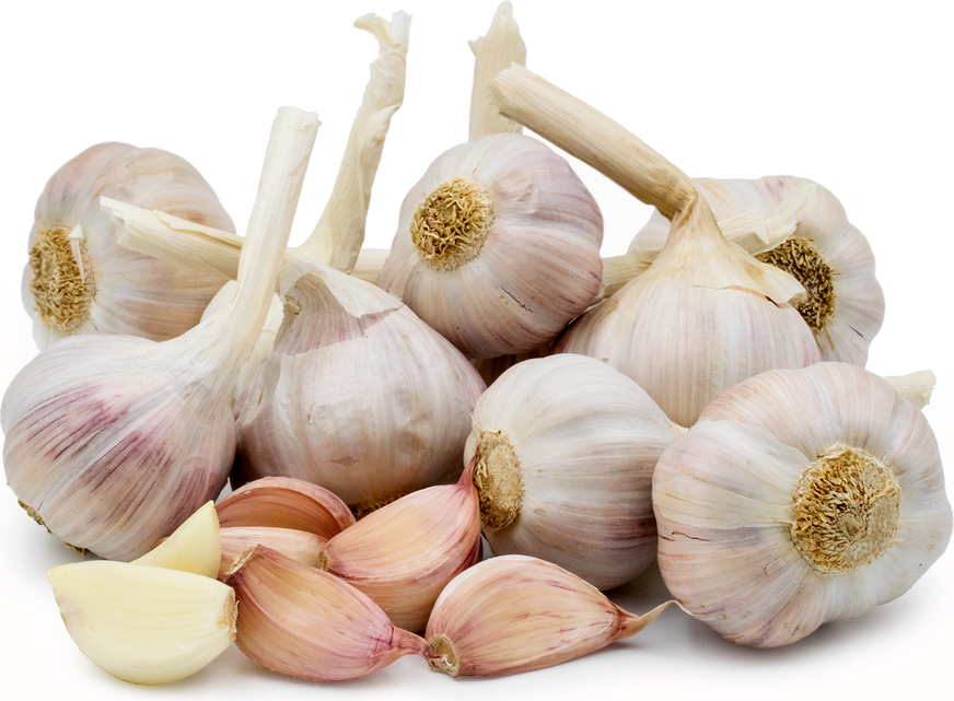 systematisk midler Demokratisk parti Pink Lautrec's Garlic Information and Facts