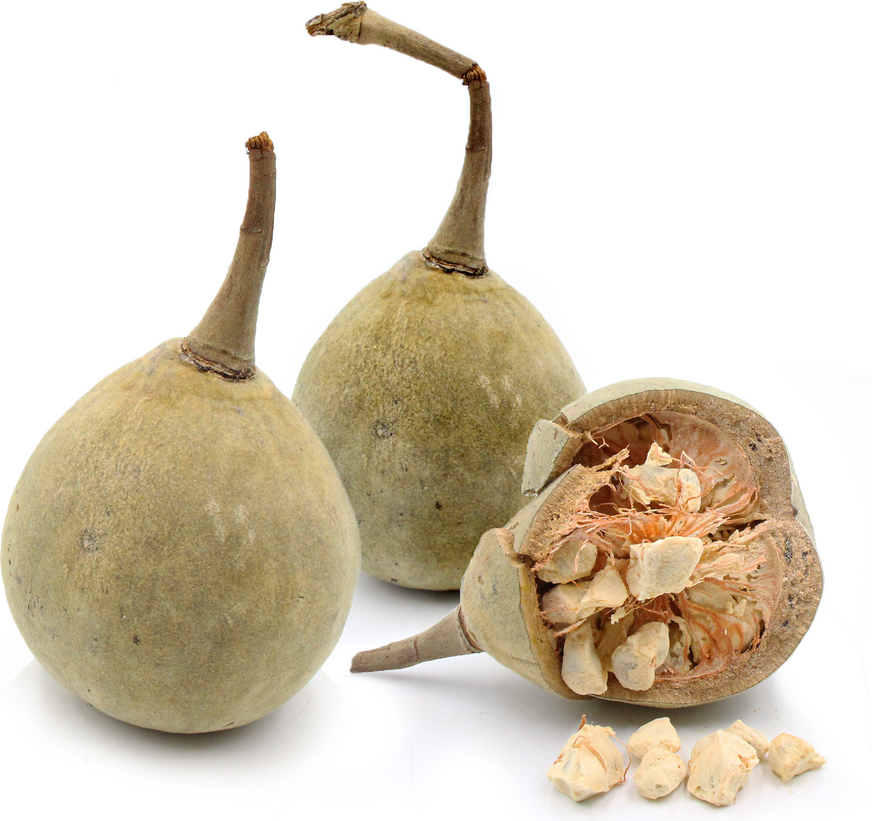 Baobab Fruit Information and Facts