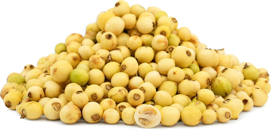 Arrayan Fruit Information, Recipes and Facts