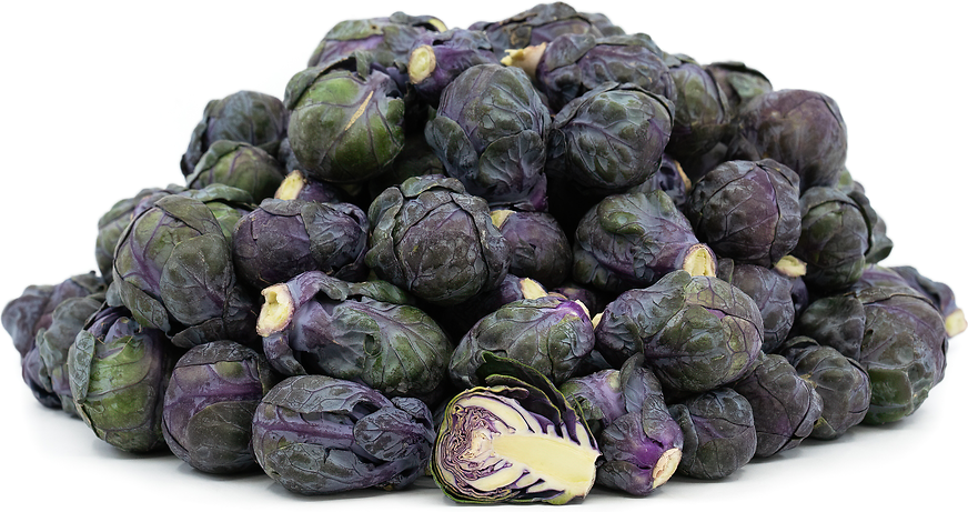 Purple Brussel Sprouts Information Facts