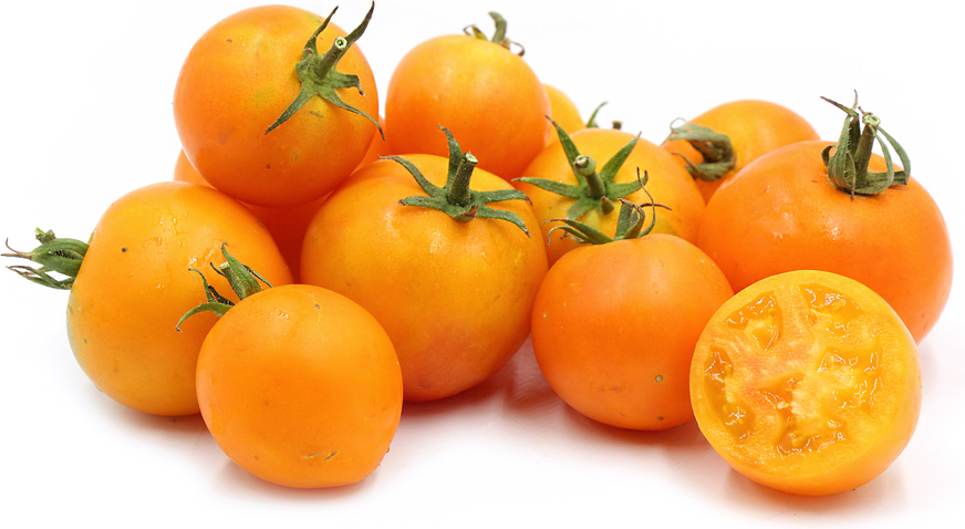 Chef's Choice Orange Tomato Plant