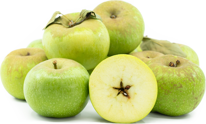 Pippin Apples Information and Facts