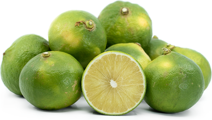 Sicilian Lemons Information and Facts