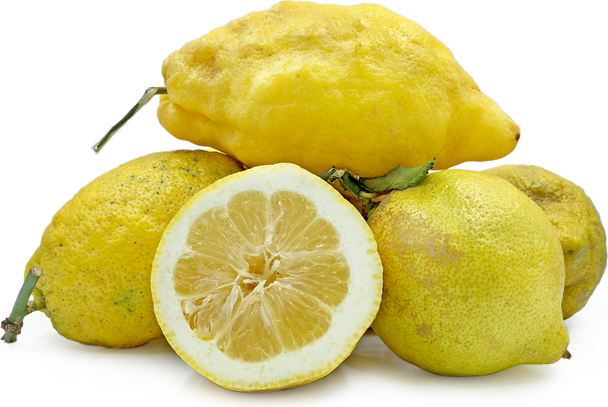 Sicilian Lemons Information and Facts