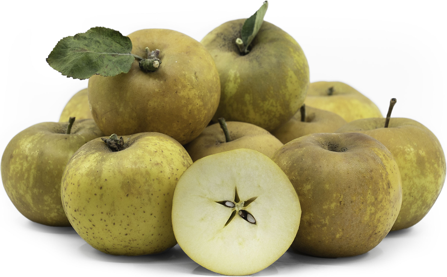 Pippin Apples Information and Facts