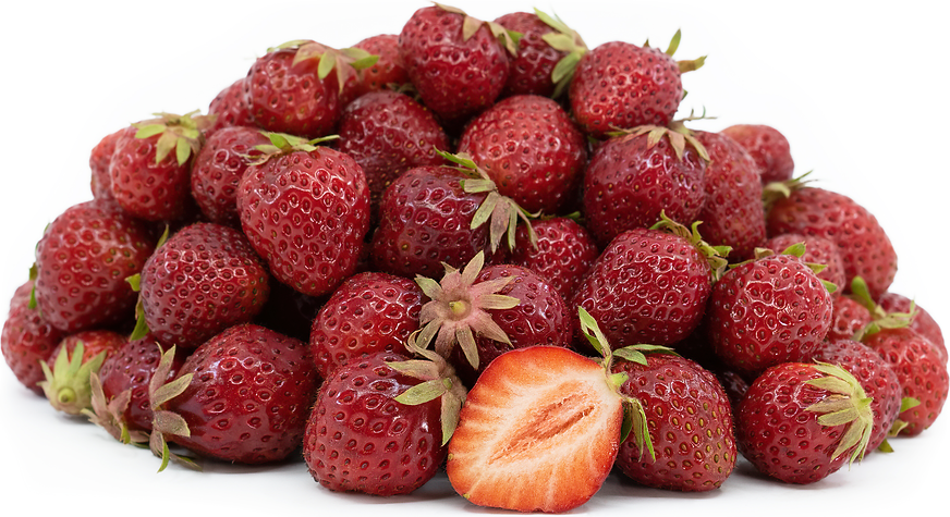 Strawberry Sangria Tassels