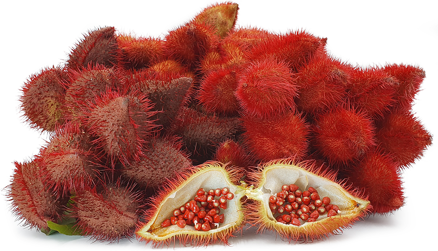 Annatto Information And Facts