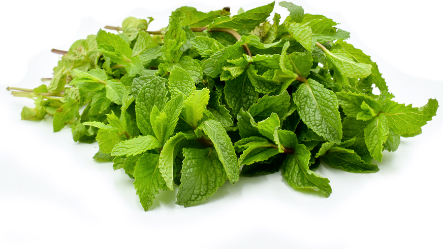 What Are The Uses Of Spearmint