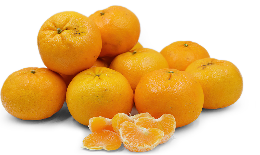 Oroval Clementine Tangerines Information and Facts