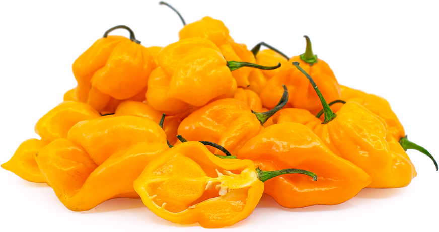20 Seeds Yellow Trinidad Moruga Scorpion Hottest Chili pepper EXTREME Rare Chile