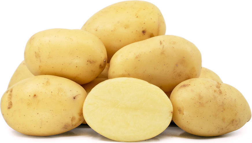 White Creamer Potatoes Information and Facts