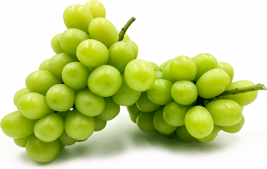 Green Seedless Grapes Information and Facts