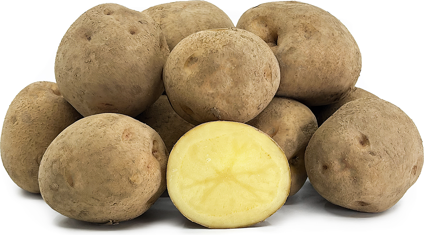 Potatoes - New Season - Norfolk Veg Box