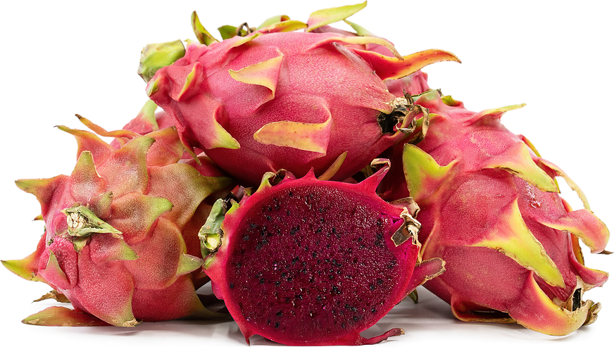 Red Dragon Fruit Seeds Spectacular Flowers Very Easy to 