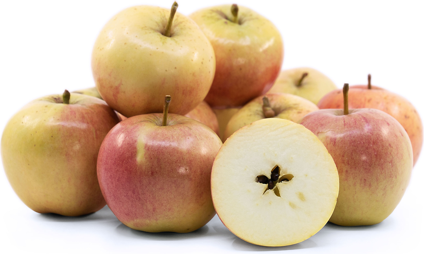 Pippin Apples Information and Facts